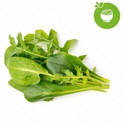 Click and Grow mix zelených salátů